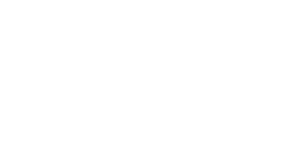 Business for the Arts Broward