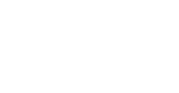 Business for the Arts Broward